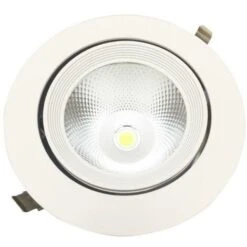 Spot LED Rond Encastrable Orientable COB Blanc 30W - Blanc Chaud